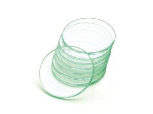 LENTE TRASPARENTE mm. 50x3