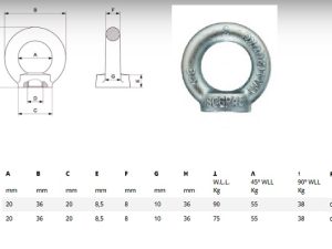 GOLFARI FEMMINA DIN 582 - ZINCATI M6