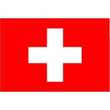 BANDIERA SVIZZERA  IN STOFFA 20X30
