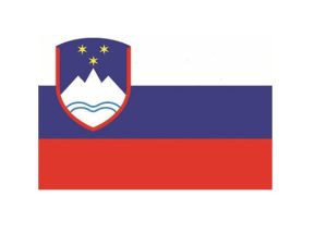 BANDIERA SLOVENIA  IN STOFFA 20X30