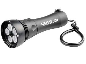 TORCIA R-5 NERA FOCUS