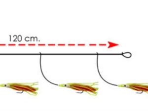 FILOSA 4 OCTOPUS CM. 5