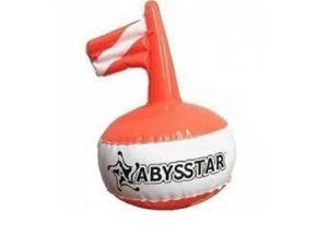 BOA SEGNA SUB PICCOLA S/ SAGOLA