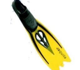 PINNA TIGULLIO AQUILA 34/35 COL. GIALLA