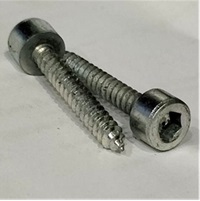 TESTA CILINDRICA BRUGOLA AUTOFILETTANTI TAGLIO CROCE 4,8X19 ZINCATA